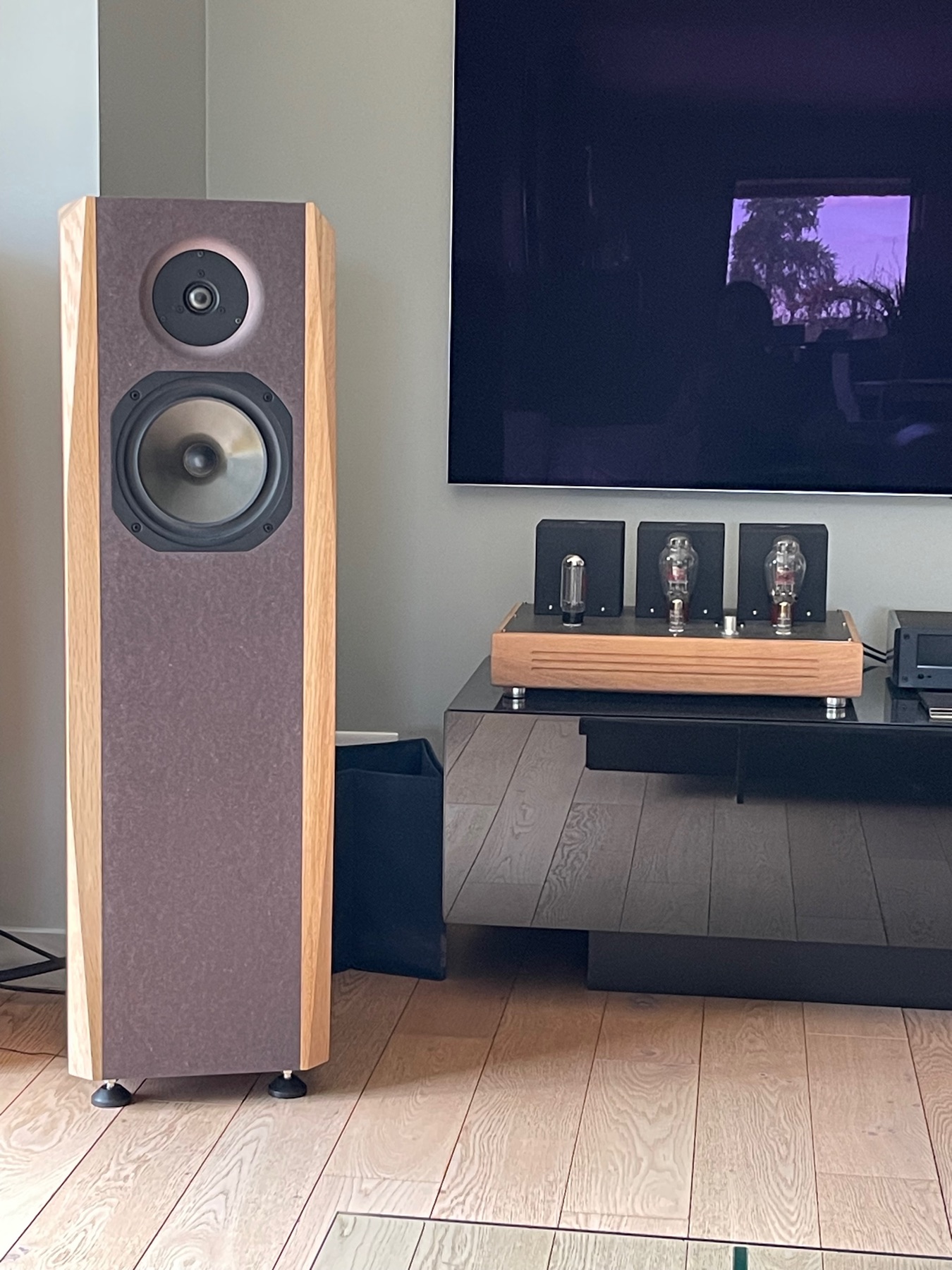 Enceinte Audax Dynaudio D260 — photo de réalisation
