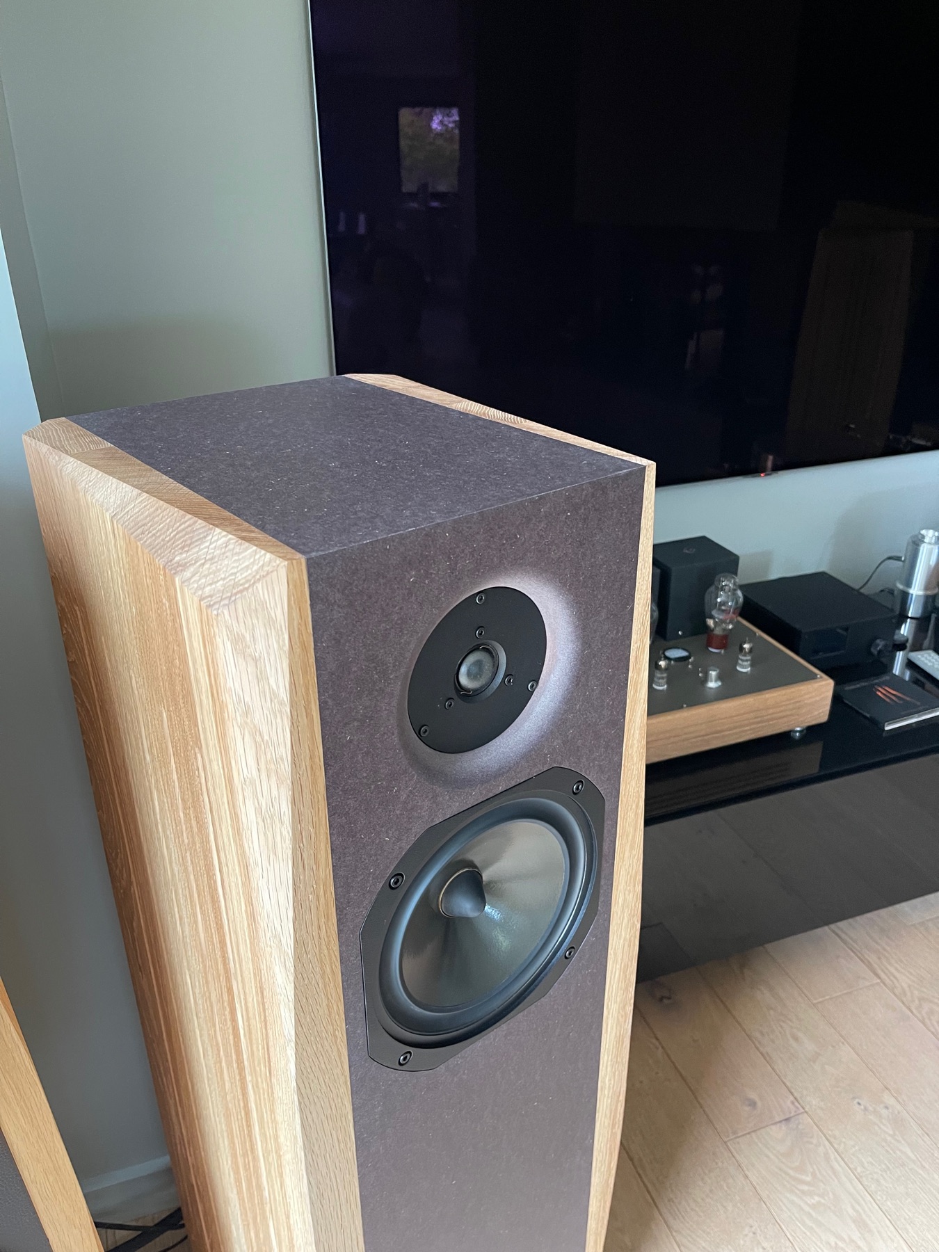 Enceinte Audax Dynaudio D260 — photo de réalisation