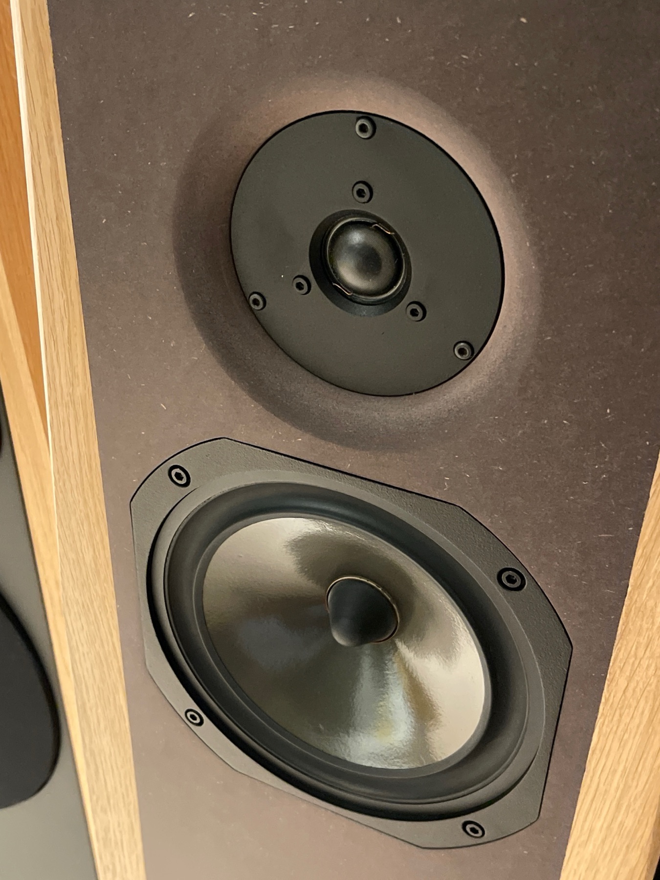 Détail rapproché du tweeter Dynaudio D260 et du médium-grave Audax