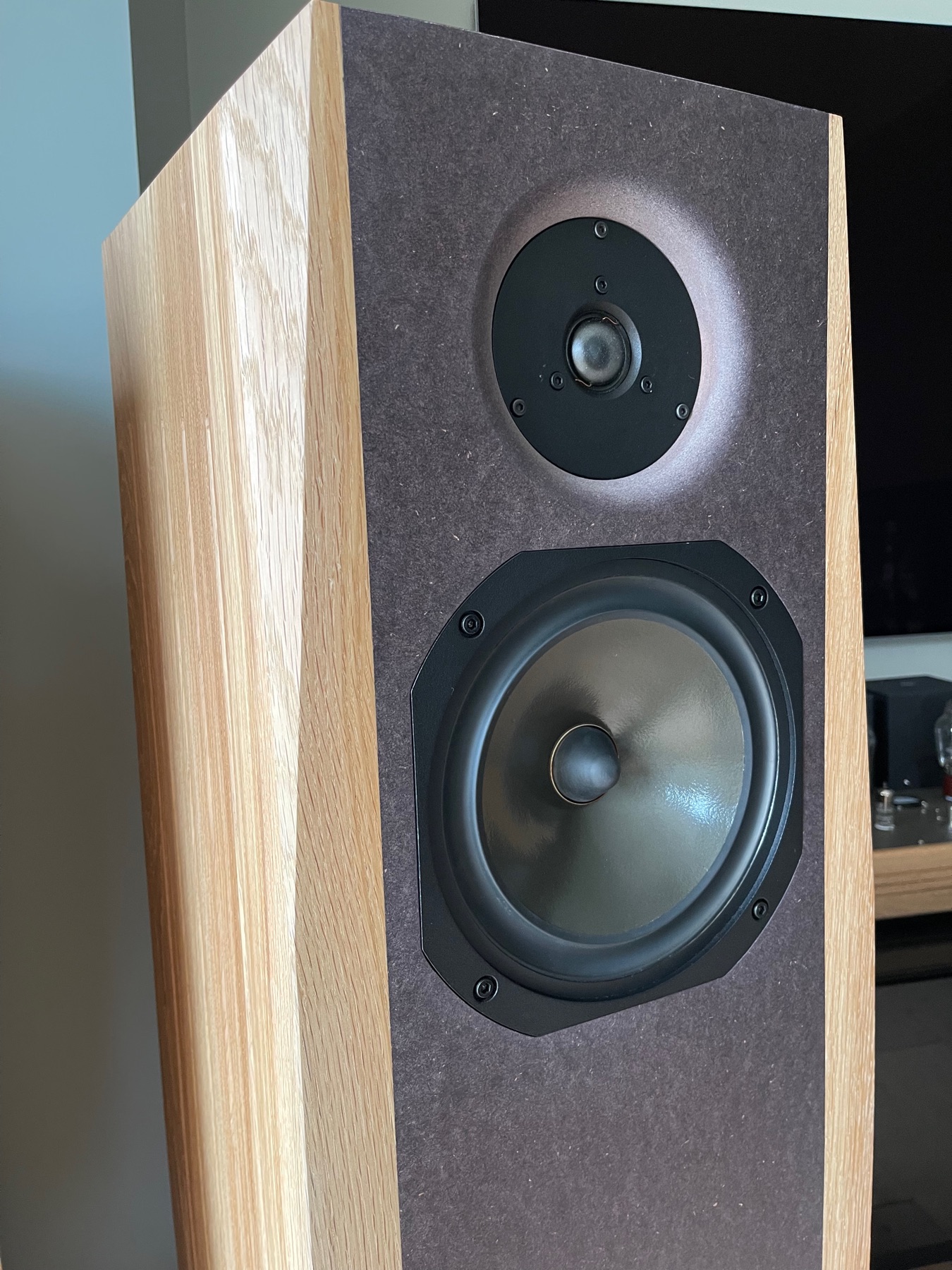 Vue de face du tweeter Dynaudio D260 et du médium-grave Audax