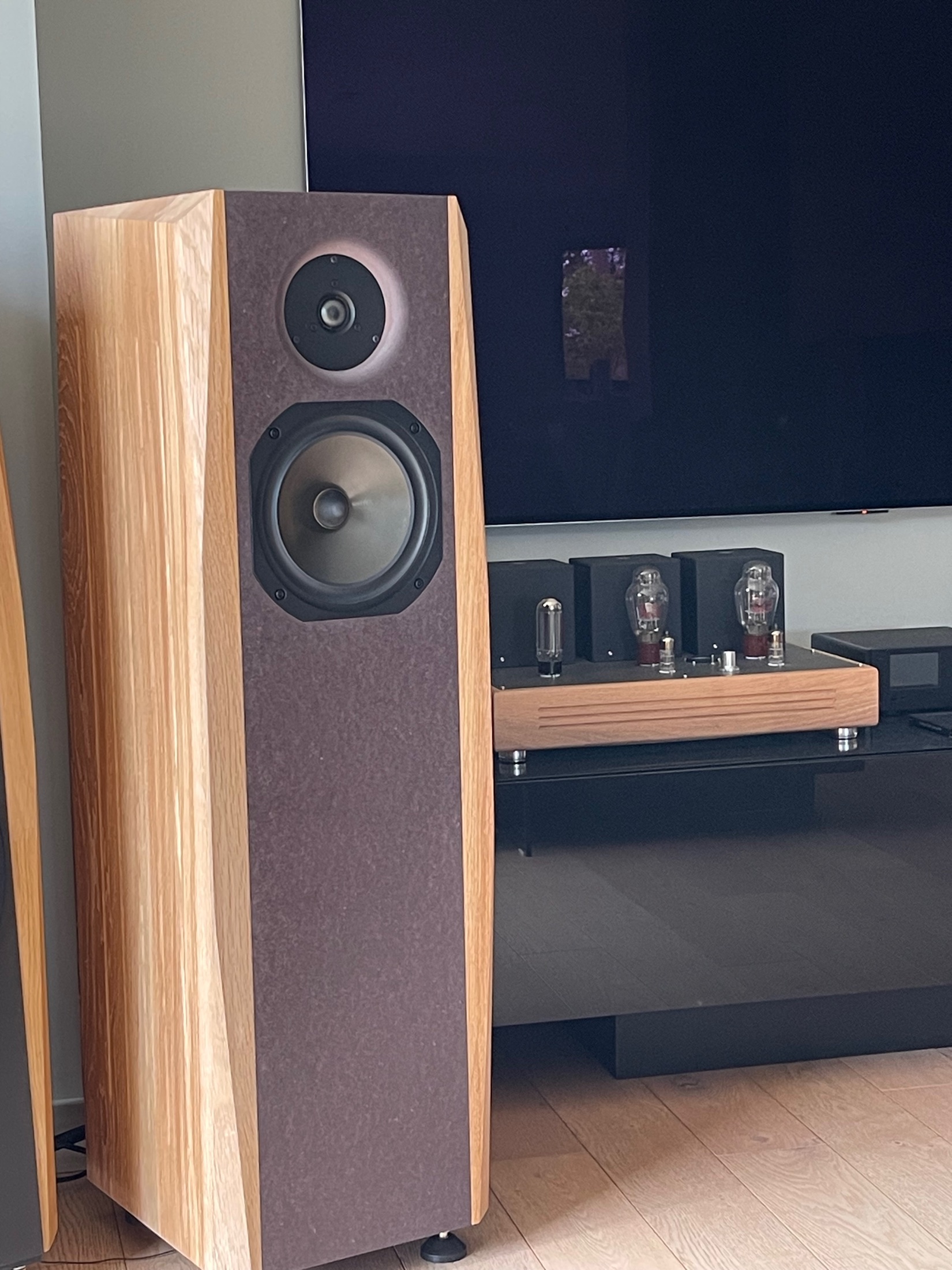 Enceinte acoustique Audax — Dynaudio D260